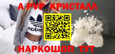 стаф Кунгур