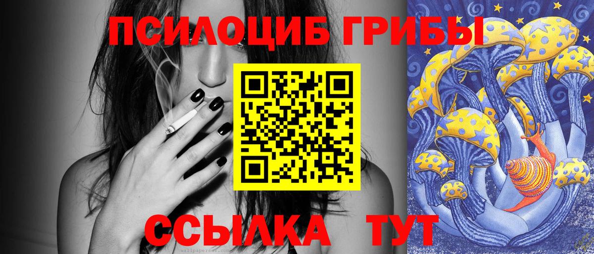 Мурманск  продажа наркотиков  Вход с VPN  Галлюциногенные грибы мухоморы 